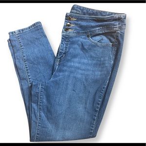 High waisted lane Bryant skinny jean sz 16